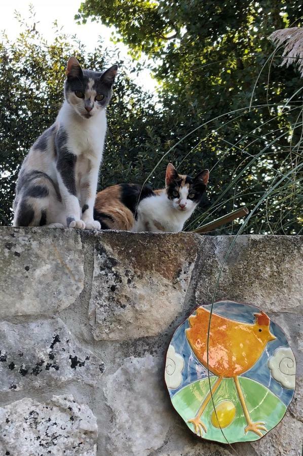 Casas Dos Infantes - Turismo Rural Caldas Da Rainha Esterno foto